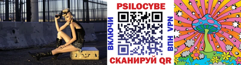 Купить  Краснотурьинск  Псилоцибиновые грибы Psilocybine cubensis 